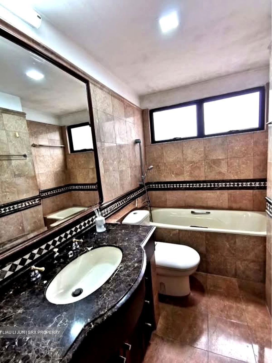 Dover Parkview (D5), Condominium #560344211